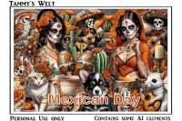 (image for) Mexican Day