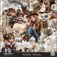 (image for) Winter Steam