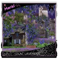 (image for) Lilac Lavender