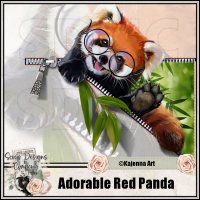 (image for) Adorable Red Panda