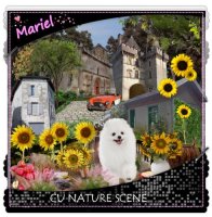 (image for) CU Nature Scene