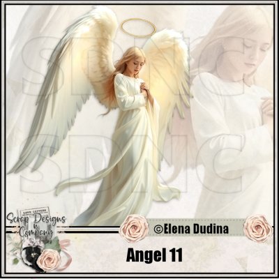 (image for) Angel 11