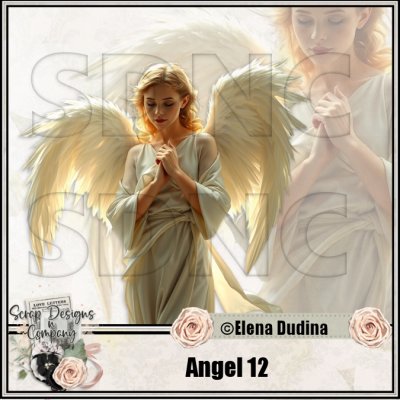 (image for) Angel 12