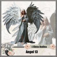 (image for) Angel 13
