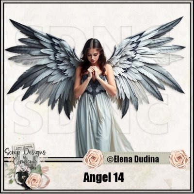 (image for) Angel 14
