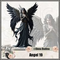 (image for) Angel 19
