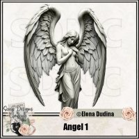 (image for) Angel 1