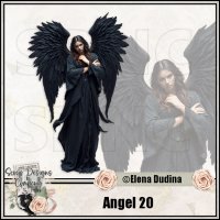 (image for) Angel 20