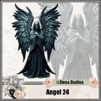 (image for) Angel 24