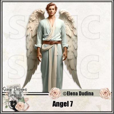 (image for) Angel 7