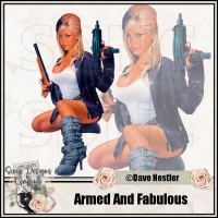 (image for) Armed and Fabulous