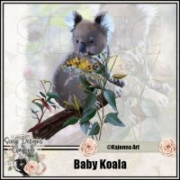 (image for) Baby Koala