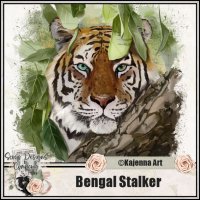 (image for) Bengal Stalker