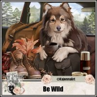(image for) Be Wild