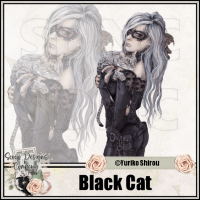 (image for) Black Cat