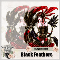 (image for) Black Feathers