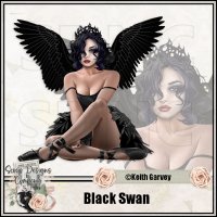(image for) Black Swan