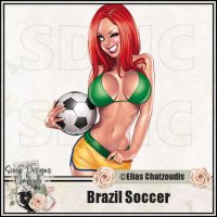 (image for) Brazil Soccer