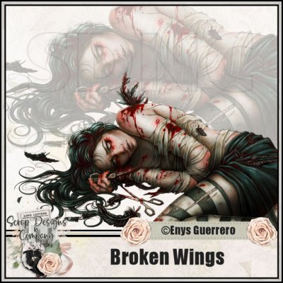 (image for) Broken Wings