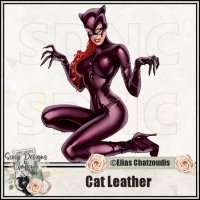 (image for) Cat Leather