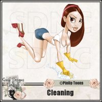 (image for) Cleaning