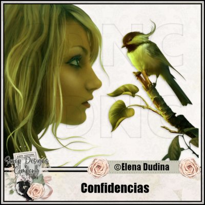 (image for) Confidencias