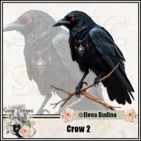 Crow 2 (image for) Crow 2
