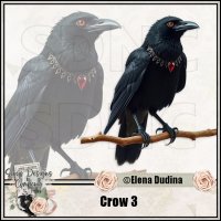 Crow 3 (image for) Crow 3