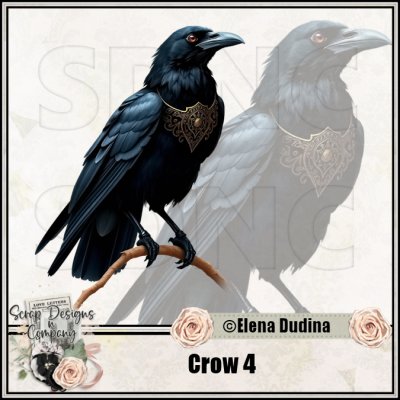 (image for) Crow 4