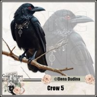 Crow 5 (image for) Crow 5