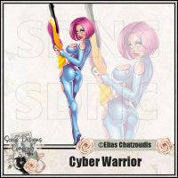 (image for) Cyber Warrior