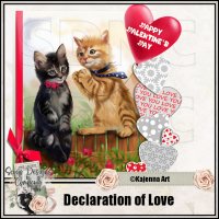 (image for) Declaration Of Love