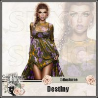 (image for) Destiny