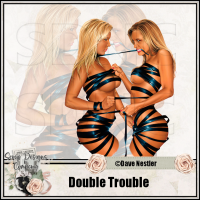 (image for) Double Trouble