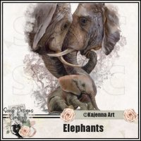 (image for) Elephants