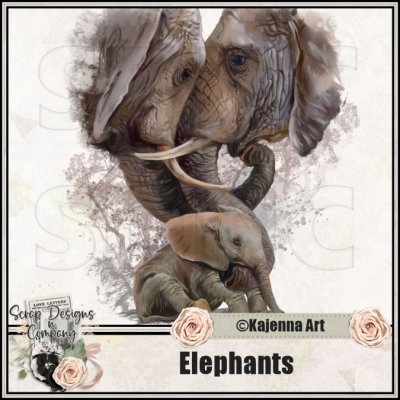 (image for) Elephants