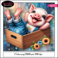 (image for) EW AI PIG 01 2024