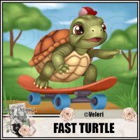 (image for) Fast turtle