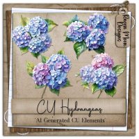 (image for) CU Hydrangeas