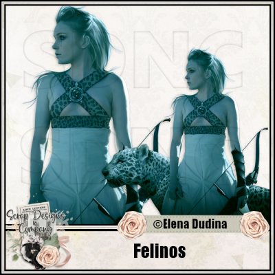 (image for) Felinos
