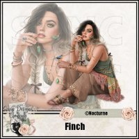 (image for) Finch