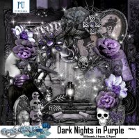 (image for) Dark Nights In Purple