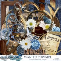 (image for) Wanted Cowgirl