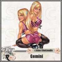 (image for) Gemini