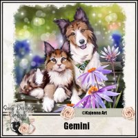 (image for) Gemini