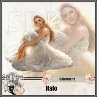 (image for) Halo 1