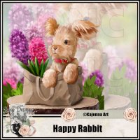 (image for) Happy Rabbit 1