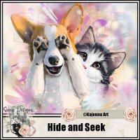 (image for) Hide And Seek