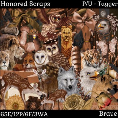 (image for) Brave Tagger