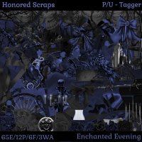 (image for) Enchanted Evening - Tagger